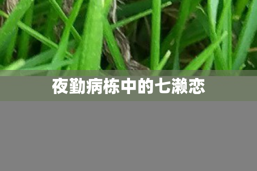 夜勤病栋中的七濑恋图片