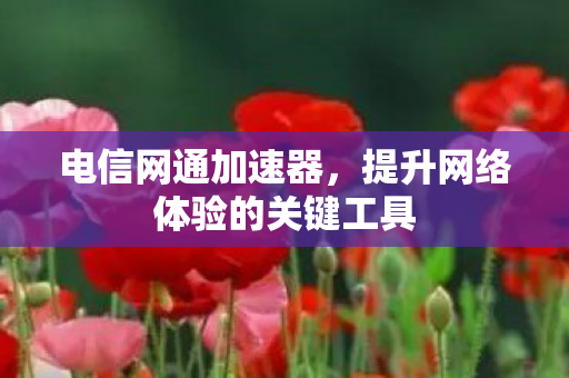 提升网络体验的关键工具图片
