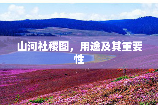用途及其重要性图片