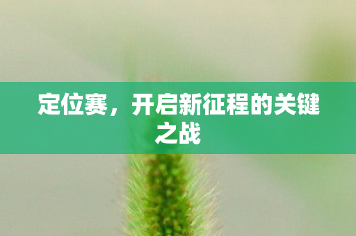 开启新征程的关键之战图片