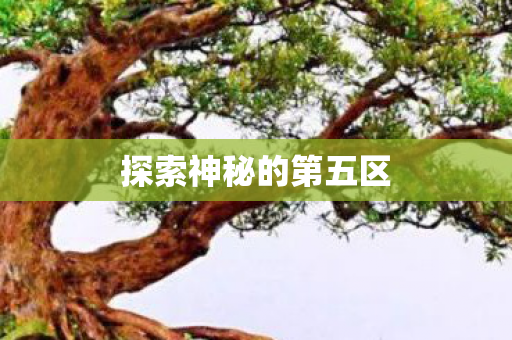 探索神秘的第五区图片