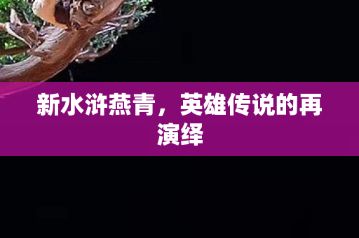 英雄传说的再演绎图片