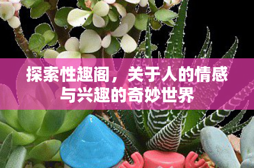 关于人的情感与兴趣的奇妙世界图片