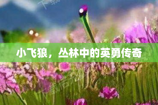 丛林中的英勇传奇图片