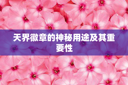 天界徽章的神秘用途及其重要性图片