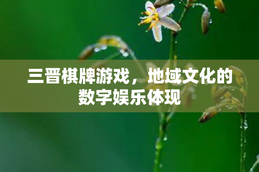 地域文化的数字娱乐体现图片