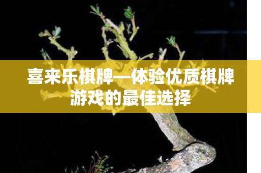 体验优质棋牌游戏的最佳选择图片