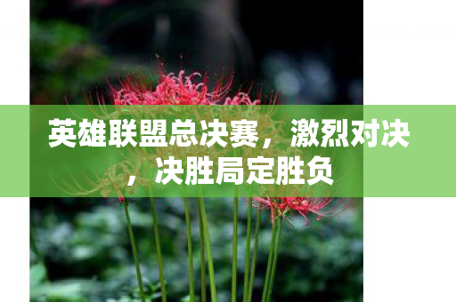 英雄联盟总决赛图片