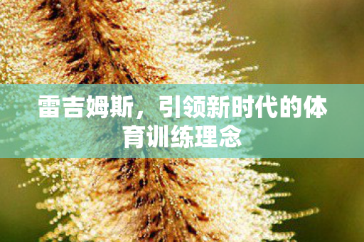 引领新时代的体育训练理念图片