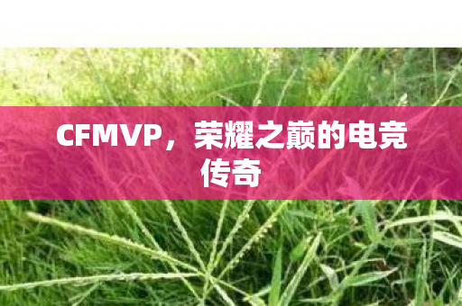 荣耀之巅的电竞传奇图片