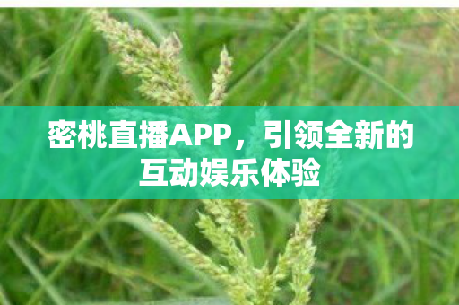 引领全新的互动娱乐体验图片
