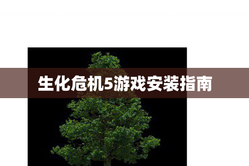 生化危机5游戏安装指南图片