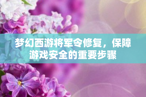 保障游戏安全的重要步骤图片