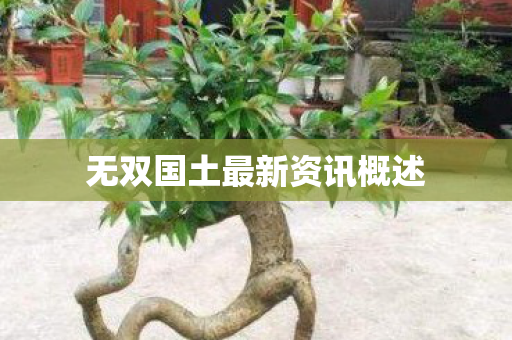 无双国土最新资讯概述图片