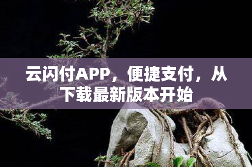 从下载最新版本开始图片