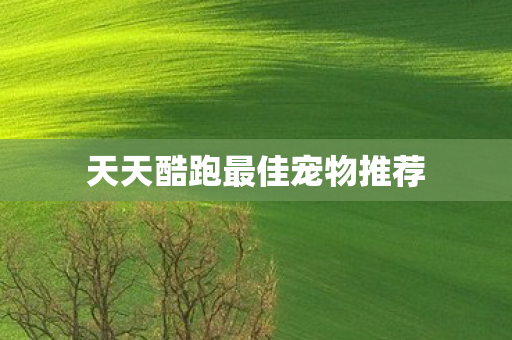 天天酷跑最佳宠物推荐图片