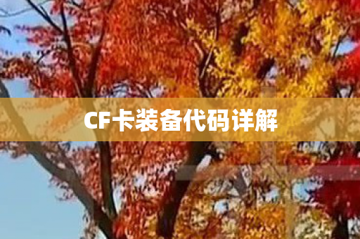 CF卡装备代码详解图片
