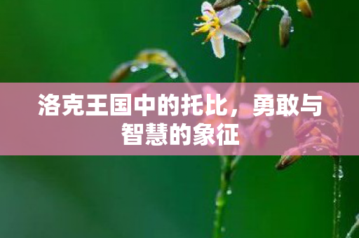 洛克王国中的托比图片