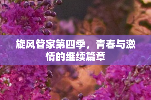 青春与激情的继续篇章图片