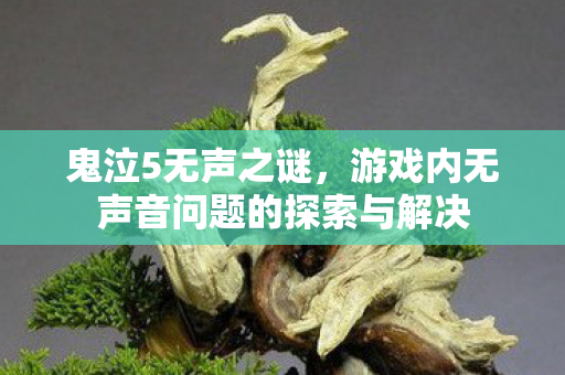 游戏内无声音问题的探索与解决图片