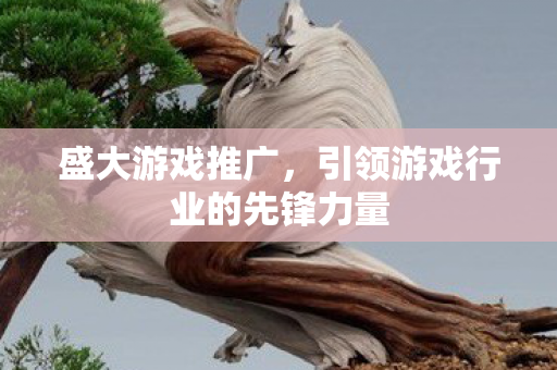 引领游戏行业的先锋力量图片