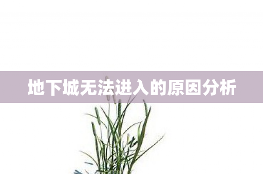 地下城无法进入的原因分析图片