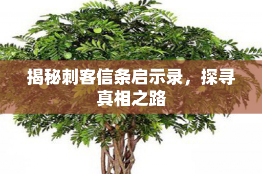 揭秘刺客信条启示录图片