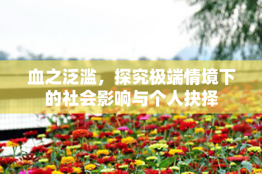 探究极端情境下的社会影响与个人抉择图片