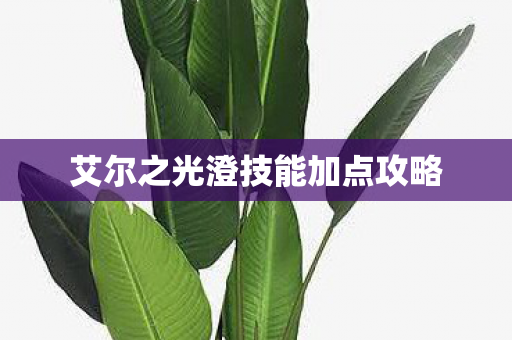 艾尔之光澄技能加点攻略图片