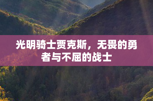 无畏的勇者与不屈的战士图片