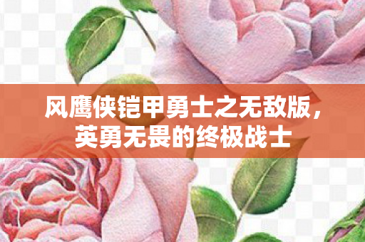 风鹰侠铠甲勇士之无敌版图片