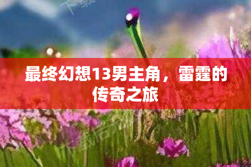 最终幻想13男主角图片