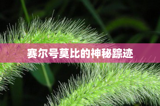赛尔号莫比的神秘踪迹图片