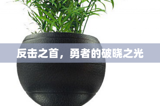 勇者的破晓之光图片