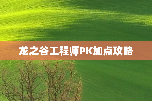 龙之谷工程师PK加点攻略图片
