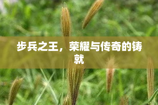 荣耀与传奇的铸就图片
