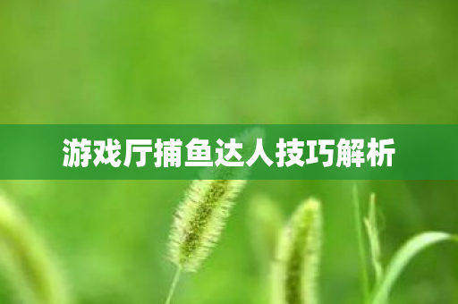游戏厅捕鱼达人技巧解析图片