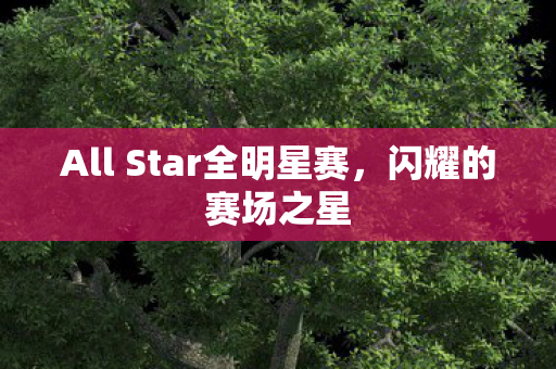 All Star全明星赛图片