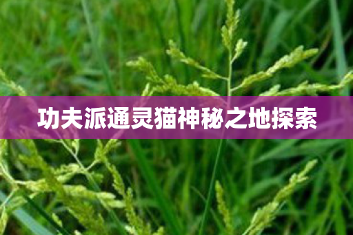 功夫派通灵猫神秘之地探索图片
