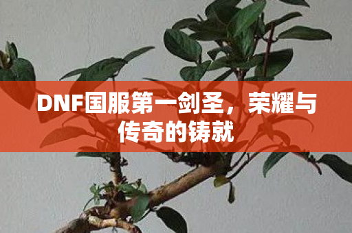 DNF国服第一剑圣图片