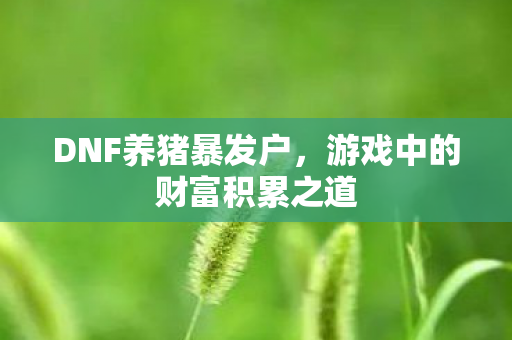 游戏中的财富积累之道图片