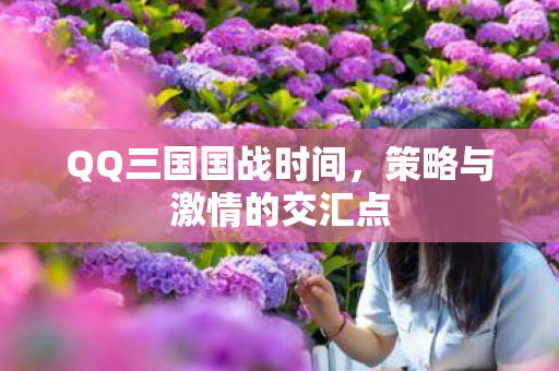 策略与激情的交汇点图片