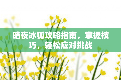 暗夜冰狐攻略指南图片