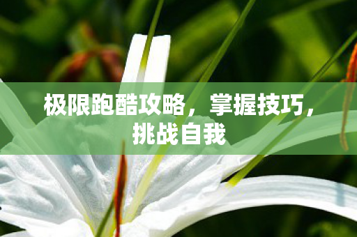 极限跑酷攻略图片