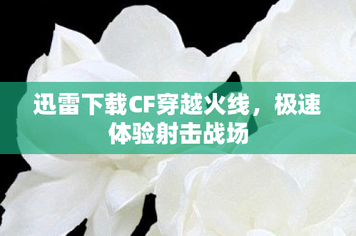 迅雷下载CF穿越火线图片