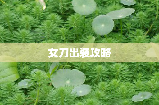 女刀出装攻略图片