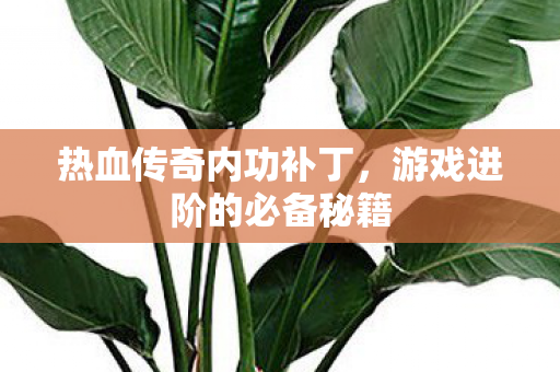 游戏进阶的必备秘籍图片