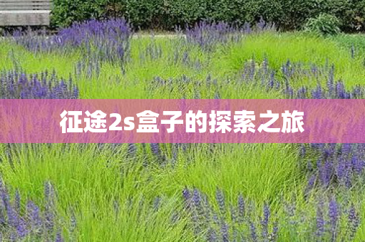 征途2s盒子的探索之旅图片