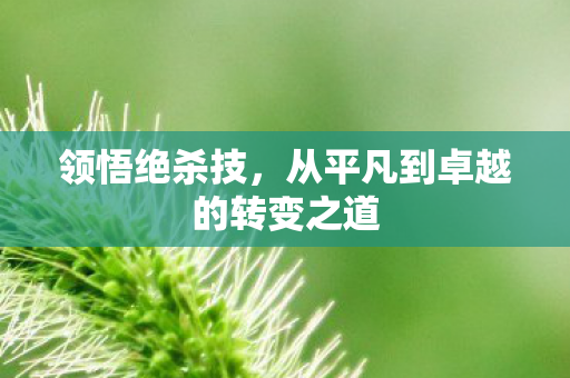 从平凡到卓越的转变之道图片