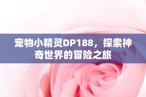 探索神奇世界的冒险之旅图片